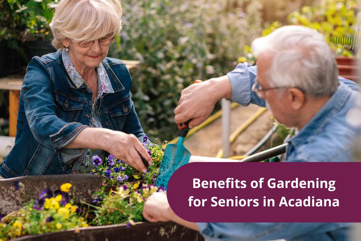 Benefits of Gardening for Seniors in Acadiana
