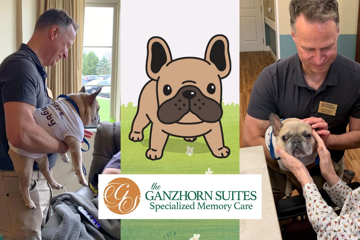 Rigby, the Home Instead Care Dog, Visits Seniors at Ganzhorn Suites