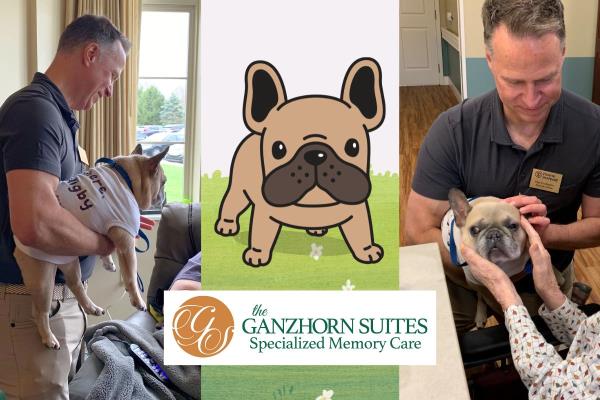 Rigby, the Home Instead Care Dog, Visits Seniors at Ganzhorn Suites