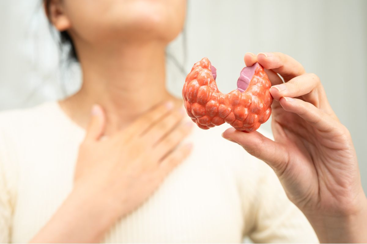 Why Understanding Thyroid Health Matters for Seniors and Their Families