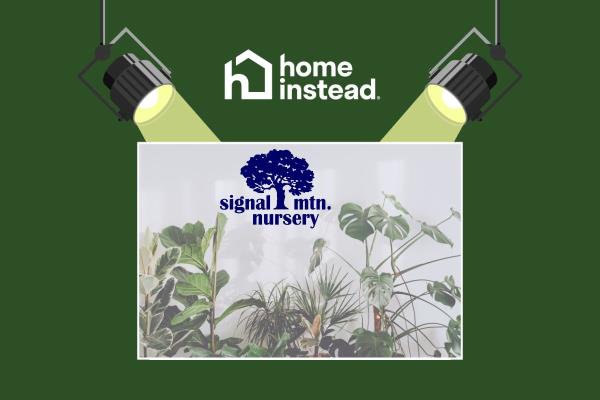 Signal Mountain, TN Notable Event Houseplant Festival