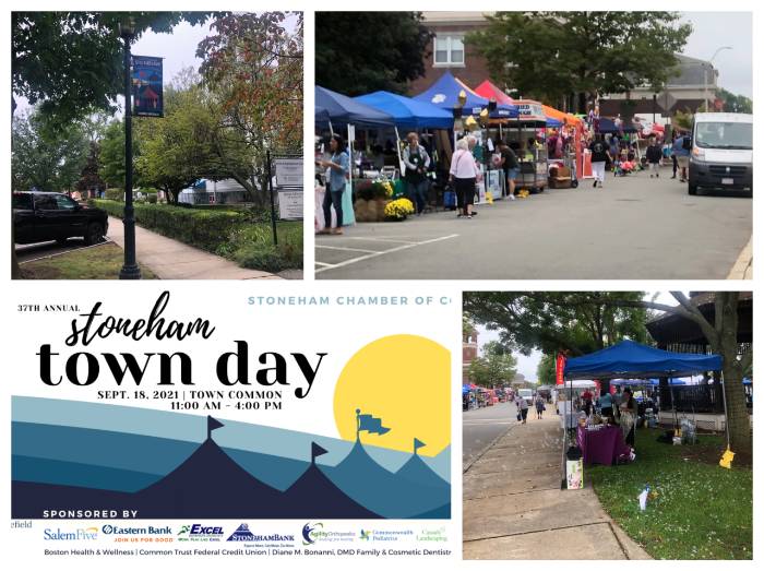Stoneham Town Day Collage