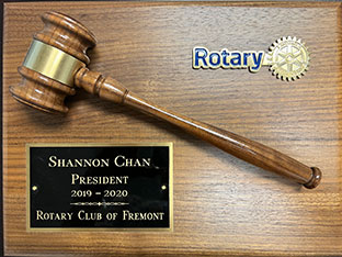 shannon rotary club president