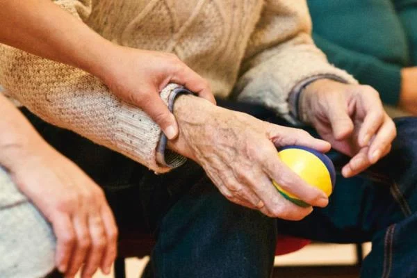 pexels matthiaszomer 339620