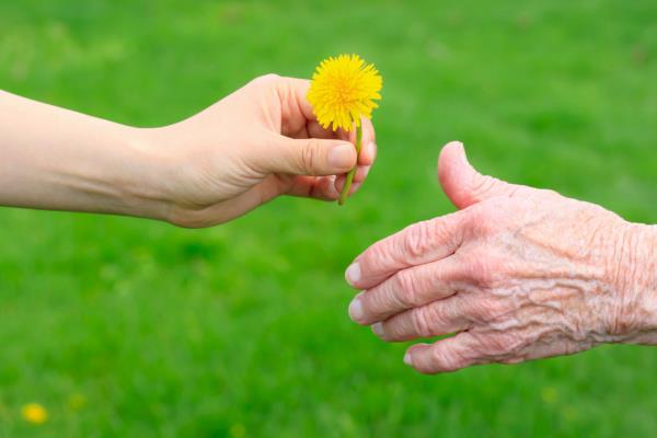 r graphicstock young hand giving a dandelion to seniors hand over green background rY3zp1bBXdW PMNW