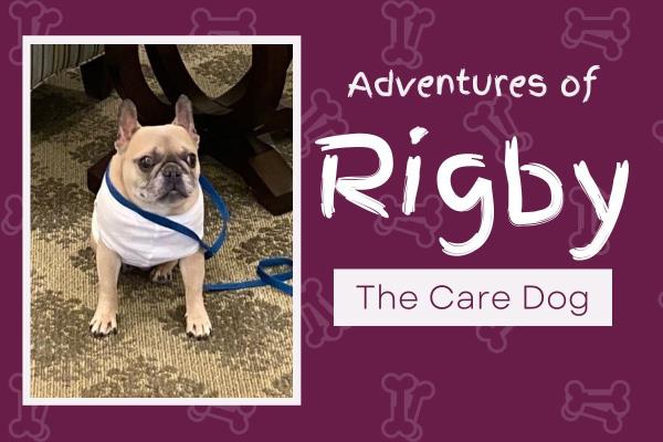 Rigby, The Care Dog, Visits Ganzhorn Suites in Powell, OH-hero