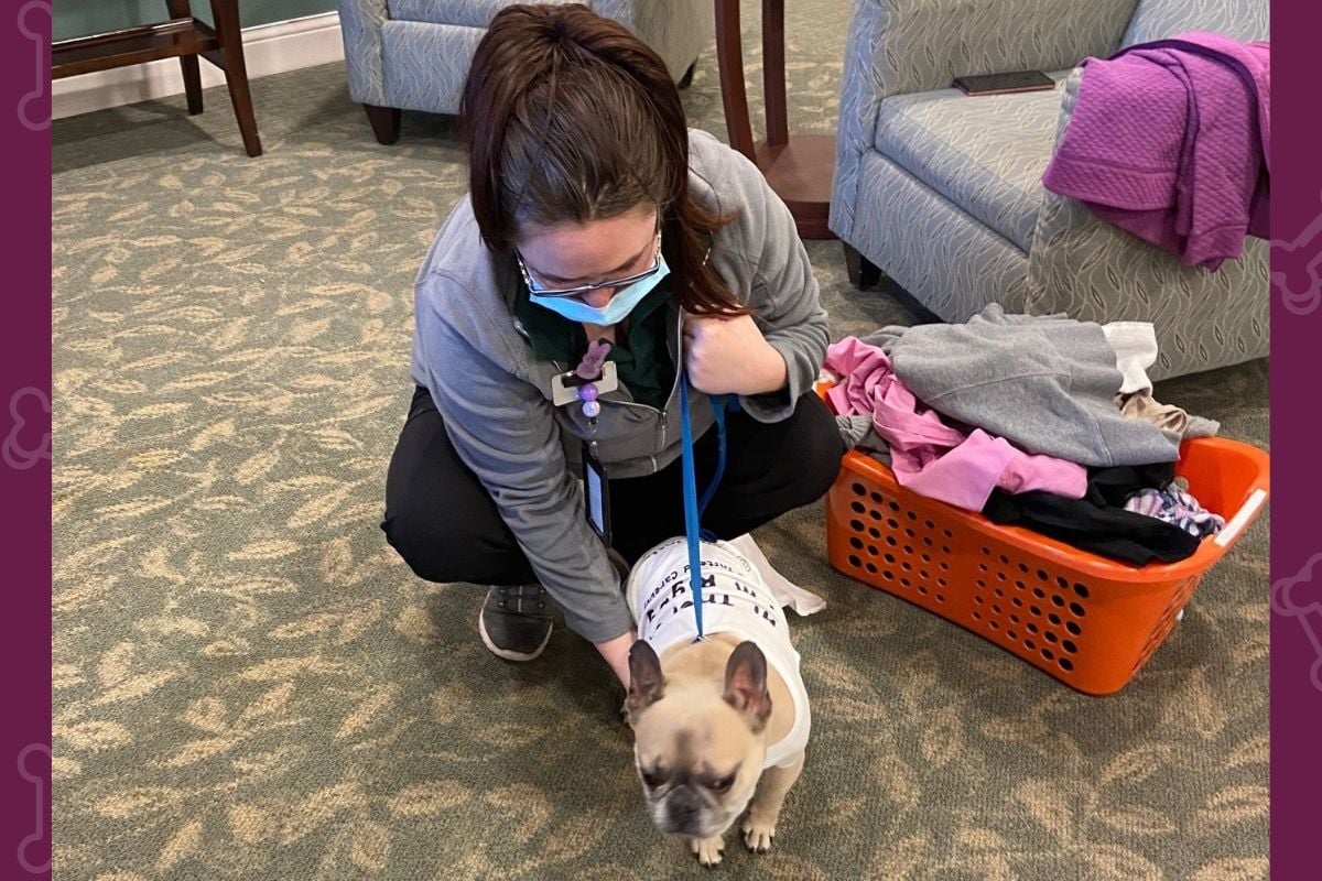 Rigby, The Care Dog, Visits Ganzhorn Suites in Powell, OH-PIC1.jpg