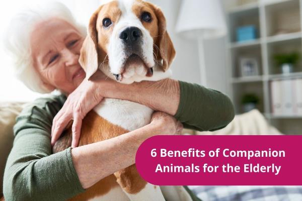 benefits of companion animals for seniors