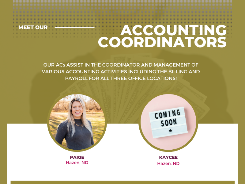 Home Care Team Home Instead Hazen, ND