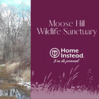 moosehill wildlife sanctuary