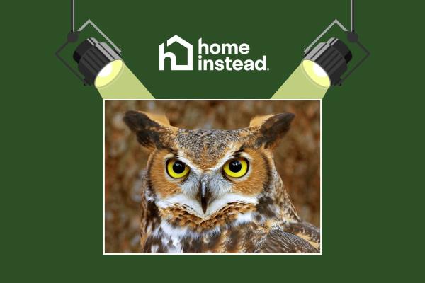 South Shore Notable Event Live Owl Show