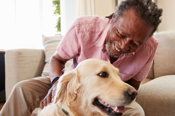 Home Instead 1200x900 only 2