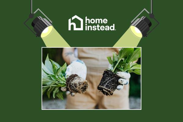 Berea, OH Notable Event Spring Plant Exchange