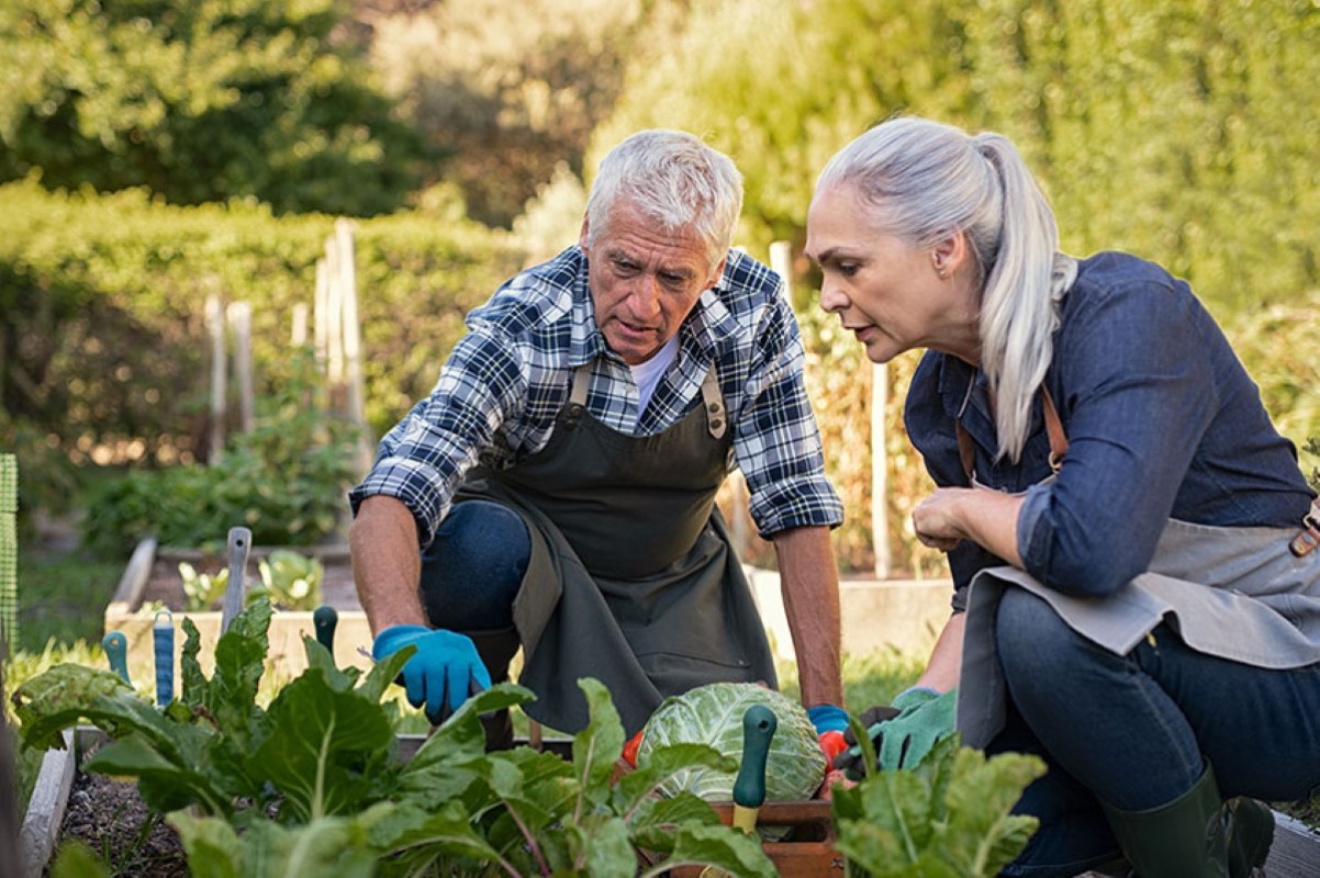 SeniorGardening2