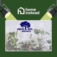 Signal Mountain, TN Notable Event: Houseplant Festival