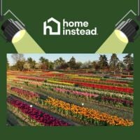 Holland, MI Notable Event: Tulip Time Festival
