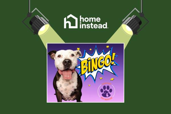 Blairsville, GA Notable Event Wednesday Night Bingo for Castoff Pet Rescue