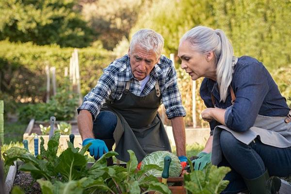 lifelong benefits of gardening for seniors