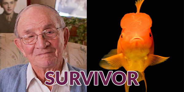photo of male seniors face and photo of goldfish