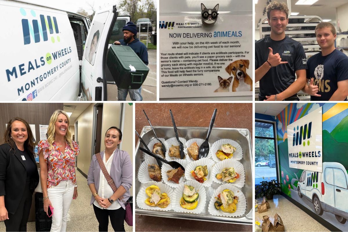 A Glimpse into Meals on Wheels with Home Instead of Conroe, TX PIC.jpg