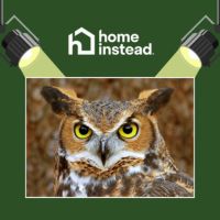 South Shore Notable Event Live Owl Show