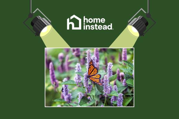 Palm Springs, CA Notable Event Pollinator Gardens Lecture